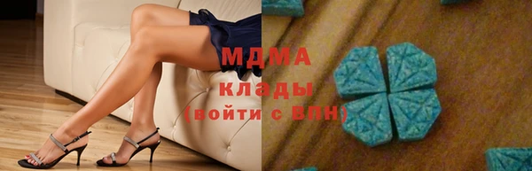 spice Богородск