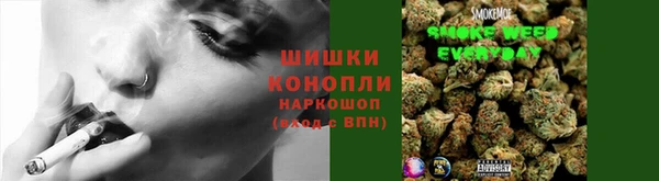 spice Богородск