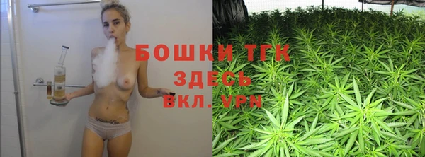 spice Богородск