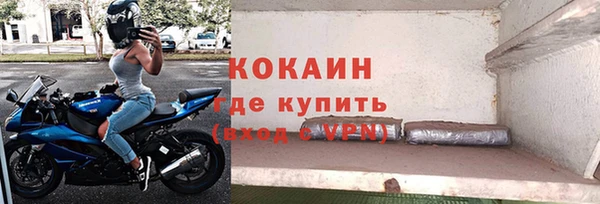 spice Богородск