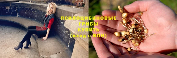 а пвп мука Бородино