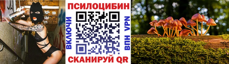 Псилоцибиновые грибы ЛСД  Колпашево 