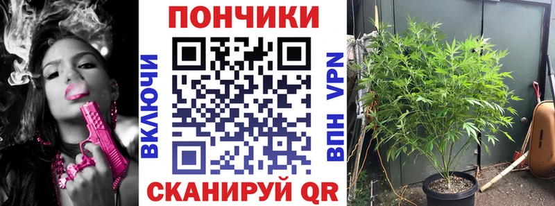 Канабис AK-47  Колпашево 